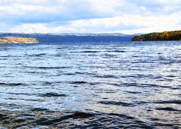 10-06-12_ Cayuga Lake,  the Longest of Finger Lakes ָ״Ϊĺ-30001.JPG