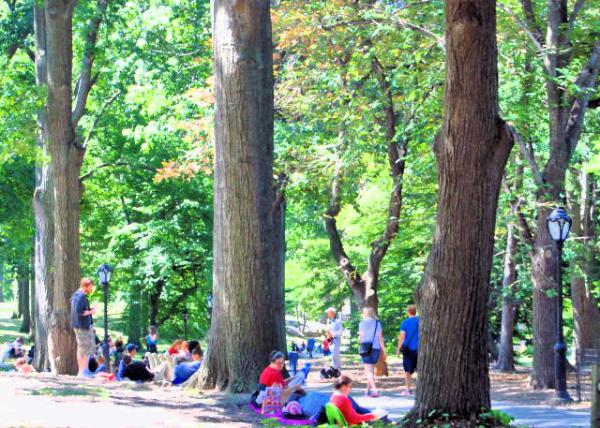 08-29-12_ Central Park_The Mall and Literary Walk ѧн-110001.JPG