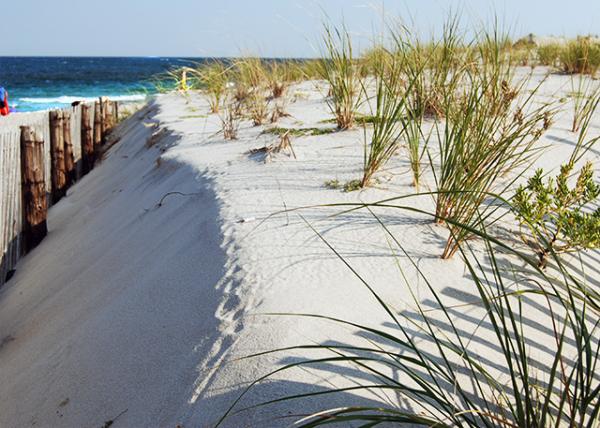 09-03-07_Long Beach Is ̲-10001.jpg