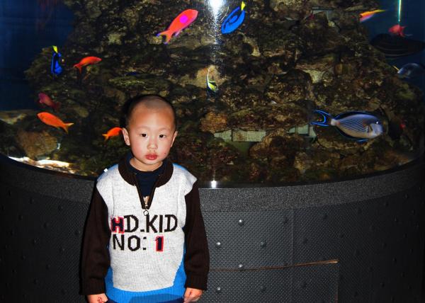 2007-03-17_4-Yr-1-Mo-Old_Tropical Tank ȴ 0001.JPG