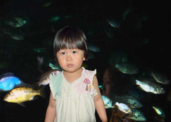 2013-06-23_Cichlid Tank-10001.jpg