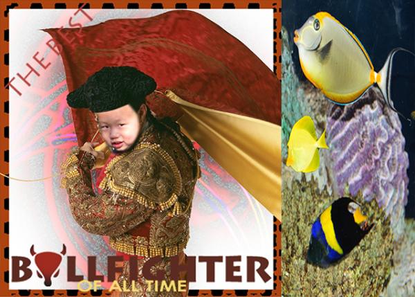 2005-11-05_ 2-Yr-8-Mo-Old_Bullfighter.jpg