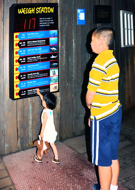 2013-06-23_Shark Realm-110001.JPG