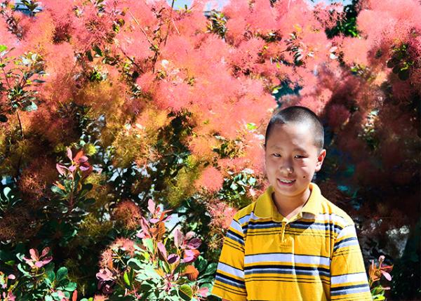 2013-06-23_Smoke Tree.jpg