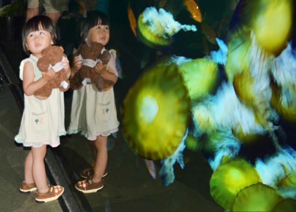 2013-06-23_Tropical Tank ȴ -20001.JPG