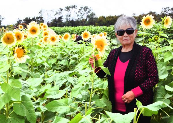 2021-10-09_White Lite Sunflower-10001.JPG