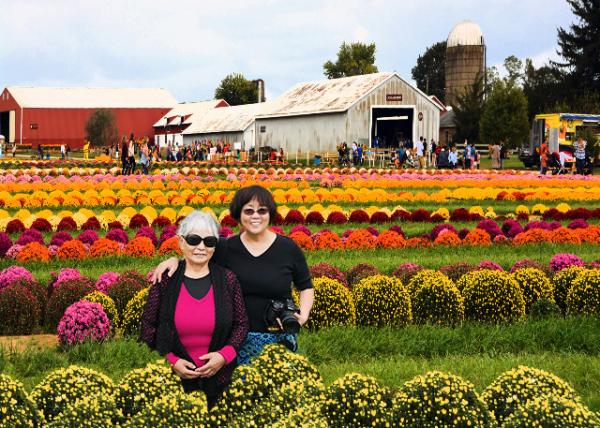 2021-10-08_Holland Ridge Farms_Mum Field-10001.jpg