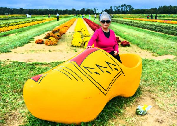 2021-10-09_Dutch Clog0001.JPG