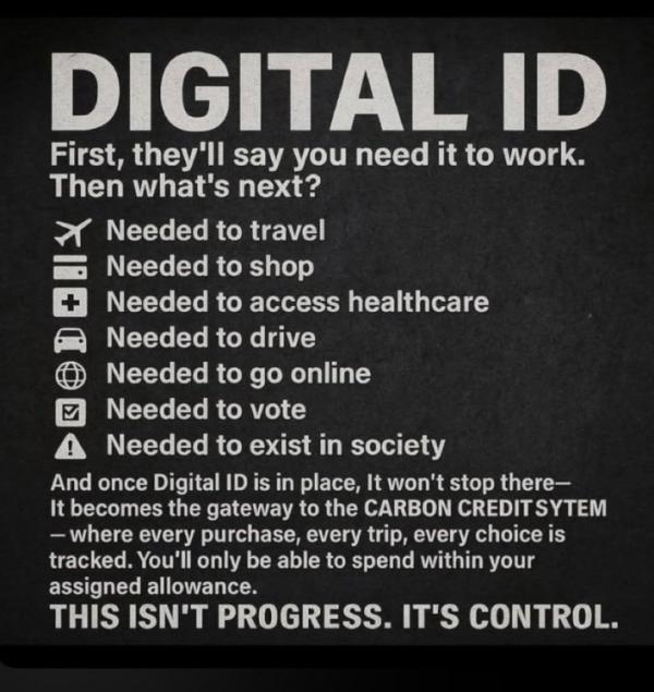 1762217837387380.png image.png