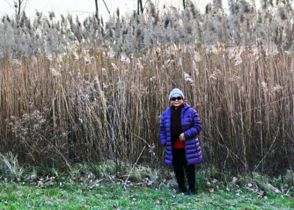 2021-11-28_Common Reed-10001.JPG