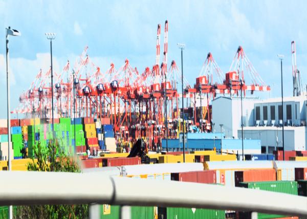 2022-05-16_Elizabeth_Maher Terminals0001.JPG