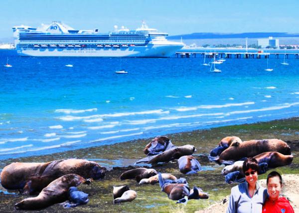 2013-01-01_Star Princess @ Puerto Madryn0001.JPG