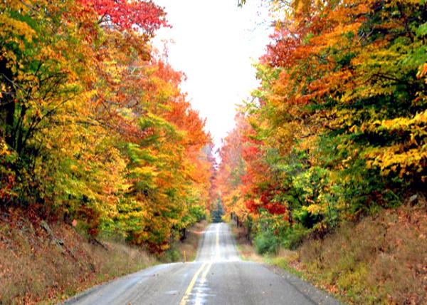 10-11-10_ PA42 42ʹ·0001.JPG