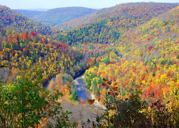 10-11-10_ Loyalsock State Forest-30001.JPG