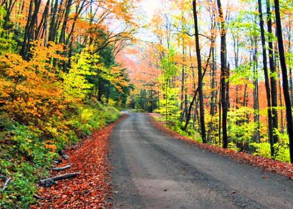 10-11-10_ Mineral Spring Rd.JPG