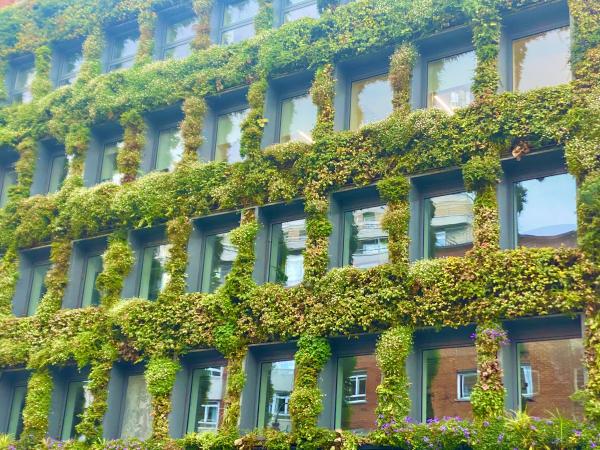 1762532861268406.jpeg IMG_3640.jpeg