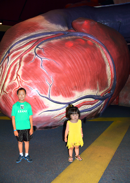 2013-07-07_Giant Walkthrough Heart д-10001.jpg