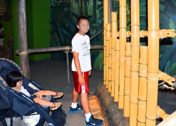 2013-07-14_Rainforest Rhythm ֽ-10001.JPG