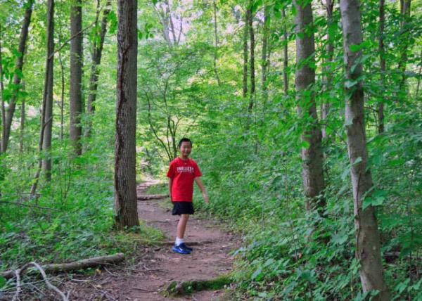 2013-07-27_The 2nd Growth Forests ڶɭ-10001.JPG