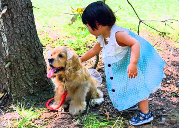 2013-07-27_Patting Ȯ-20001.JPG