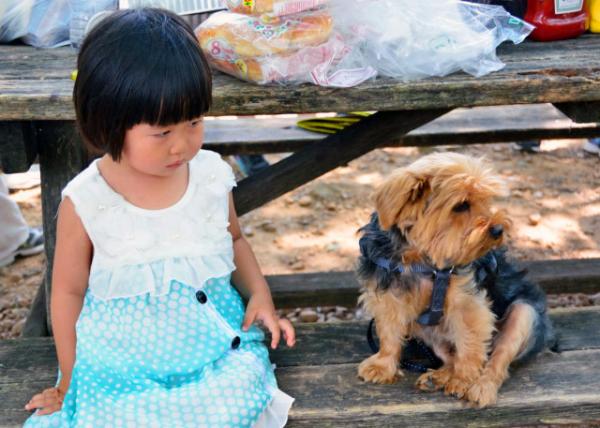 2013-07-27_Bean -30001.JPG