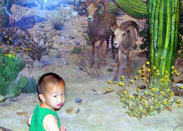 2005-07-24_Academy of Natural History of Drexel Univ ׿ѧȻʷѧԺ0001.JPG