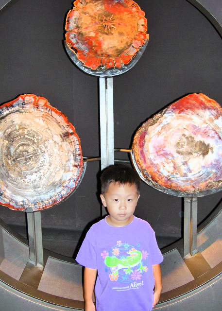 2006-08-20_ Harry Frank Guggenheim Hall of Gems and Minerals ˡŸķʯͿ0520001.JPG