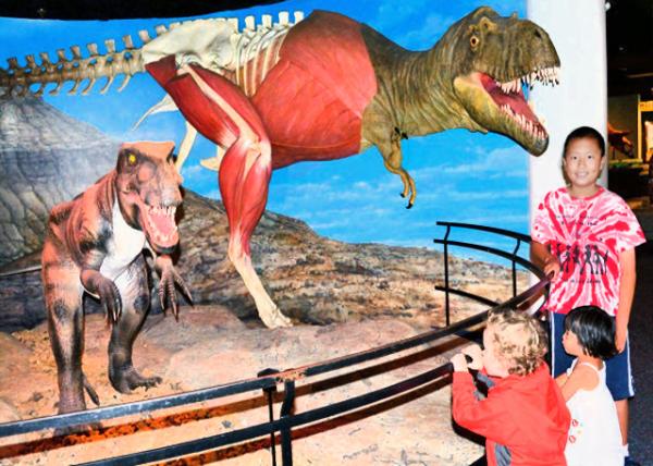 2013-09-02_Dinosaur Hall -50001.JPG
