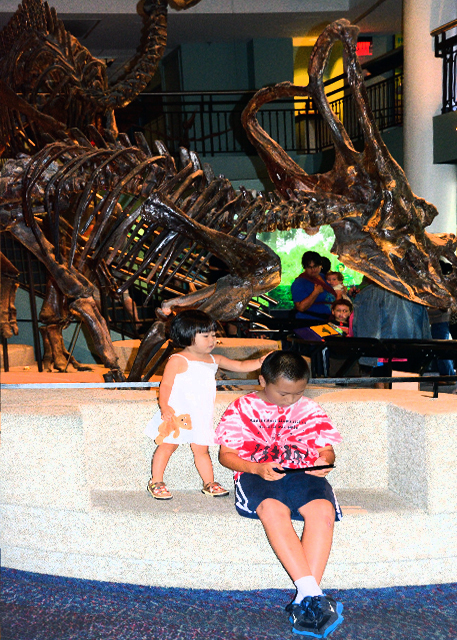 2013-09-02_Triceratops, a Ggenus of Herbivorous Dinosaurs during the Late Cretaceous PeriodڰѼڵһֲʳԿ.jpg