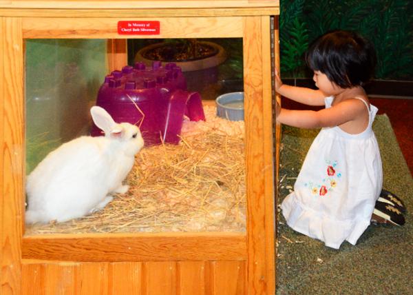 2013-09-02_Animal_New Zealand White Meat Rabbit.jpg