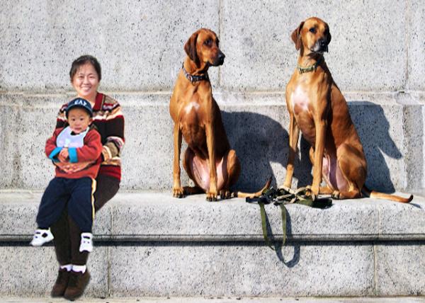 2005-01-01_Watch Dogs -10001.jpg