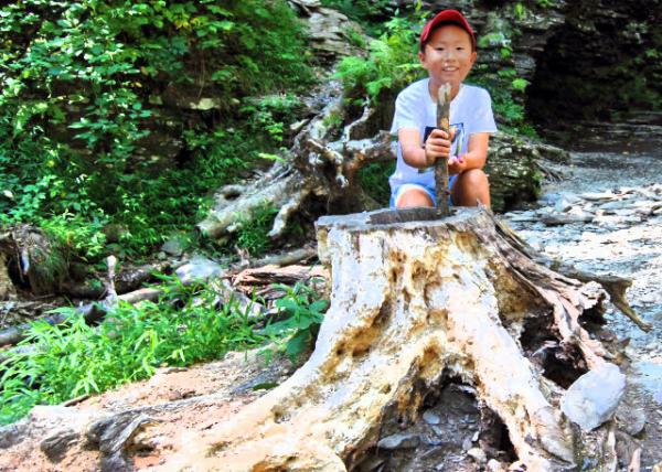 08-30-10_ Bridesmaid's Falls_Stump ׮-3.JPG