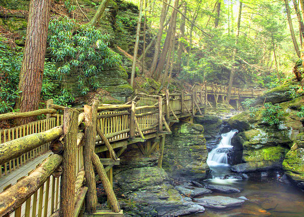 08-30-10_ Laurel Glen Falls_Little Bush Kill СľϪ -1.JPG