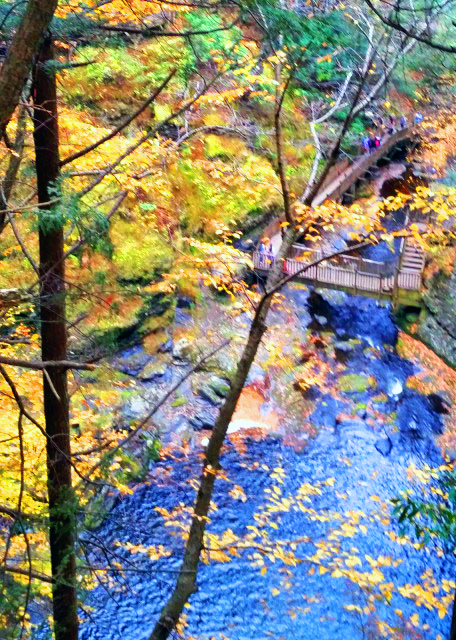 2014-10-13_Bushkill Falls-20001.JPG