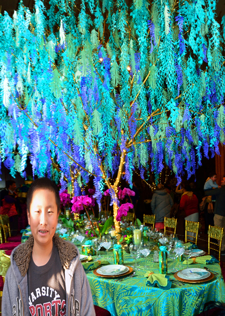 2014-12-25_Ballroom Peacock Feather Tree-10001.jpg