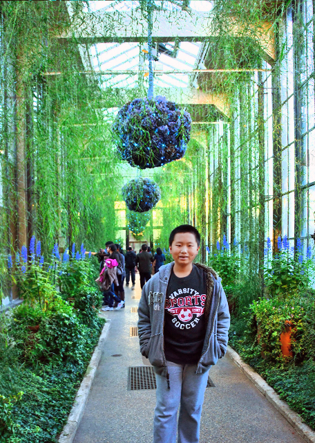 2014-12-25_Fern Passage-1.jpg