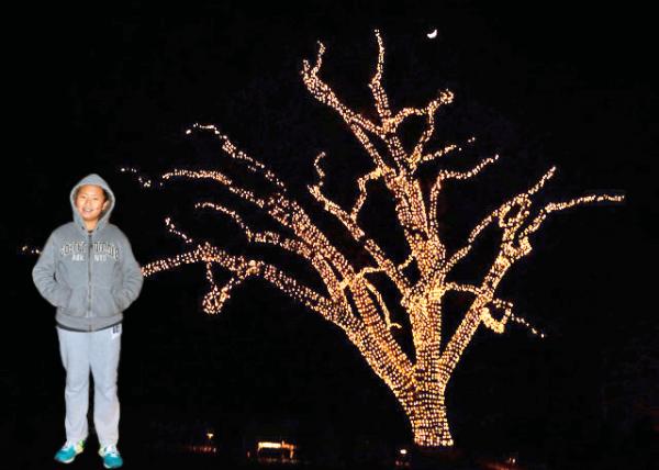 2014-12-25_Oak Tree Lights under Crescent Moon -10001.jpg