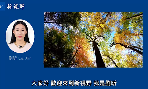 1762712985628884.png IMG_9712.png