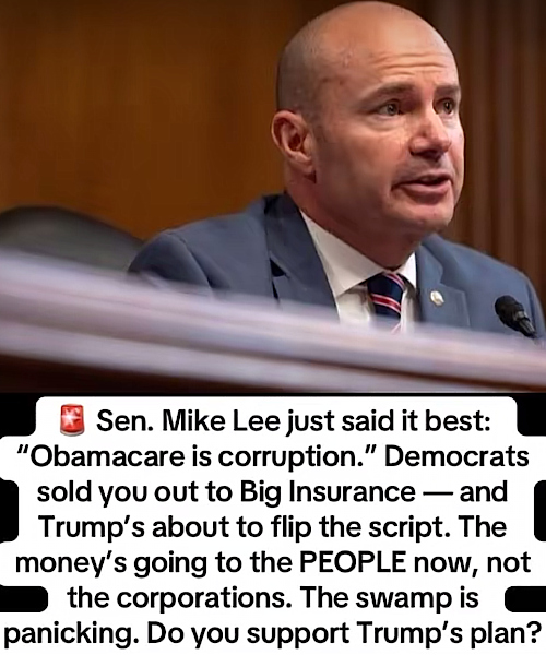 1762794220392374.png IMG_0081.png