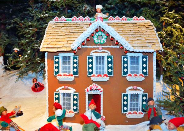 2015-01-03_Gingerbread House 0001.JPG