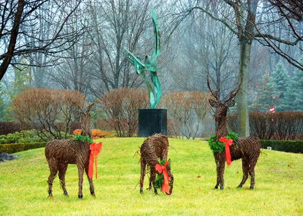 2015-01-03_Dance of the Cranes ֮-60001.JPG
