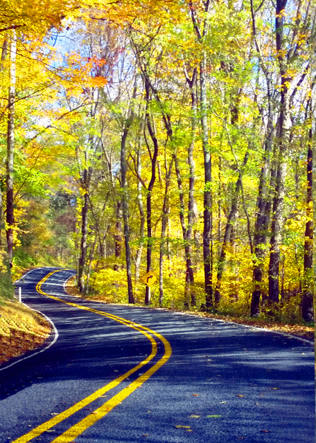 2015-10-17_Scenic Drive ۹·.JPG