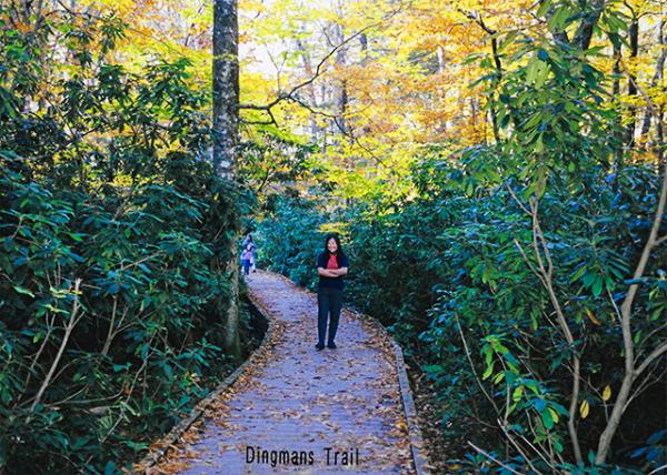 2000-10-21_Delaware Water Gap Natl Rec Area_Dingmans Creek Trail.jpg