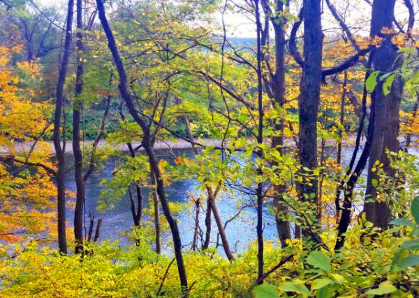 2015-10-17_Delaware River -10001.JPG