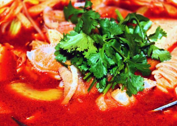 2016-02-21_Food_Spicy Pork Offal Stew in Hot Pot Sauce 0001.JPG