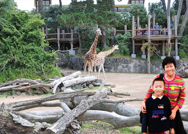 12-18-09_ Auckland Zoo_Giraffe-10001.jpg