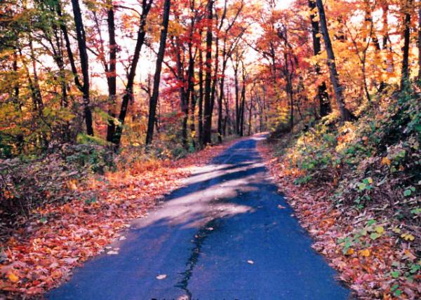 2001-10-27_New Hope ϣ-10001.JPG