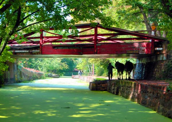 2007-09-22_Delaware Canal SP-2.JPG