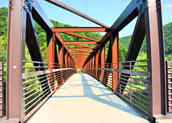 2021-07-05_Pedestrian Bridge-20001.JPG