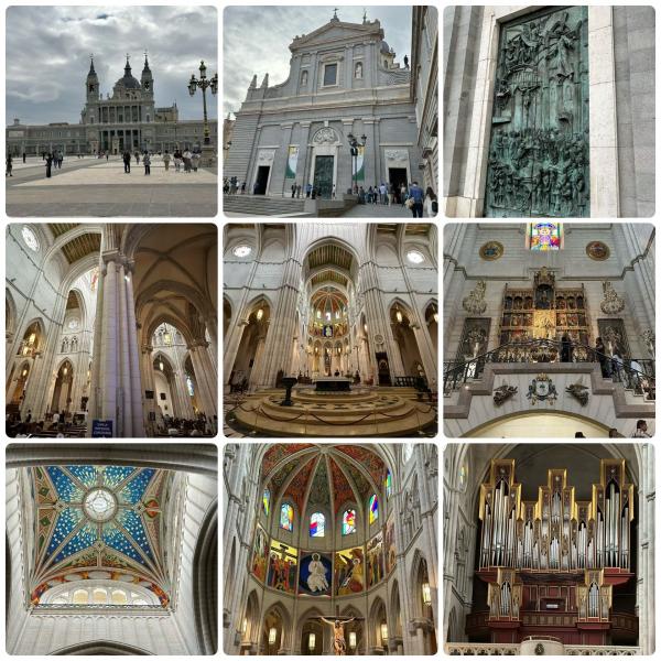 1763218083450197.jpg 923F650F-7808-4FD5-9CAD-A87D6F77EB6E.jpg